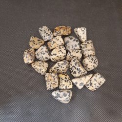 dalmatian jasper