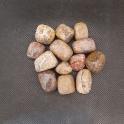 leopardskin jasper
