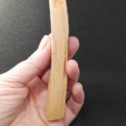 palo santo