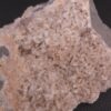 zeolite