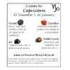 capricorn