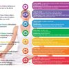 chakra system