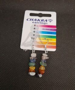 chakra chip earrings