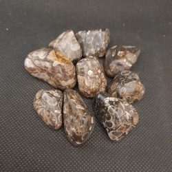 turitilla agate