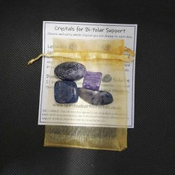 bi-polar support