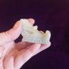 caribbean calcite