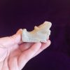 caribbean calcite