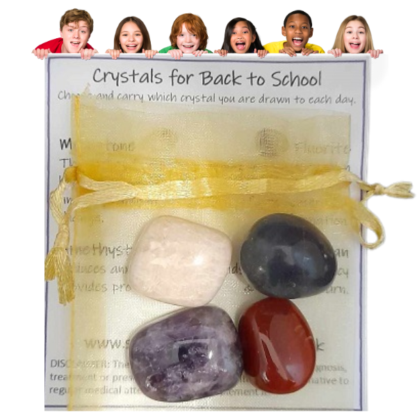 back to school