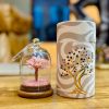 Rose Quartz 30-Chips Dome Garden