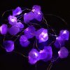 Amethyst Rough Stones Enchantment Lights