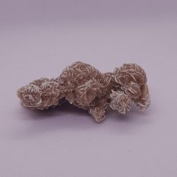 desert rose cluster