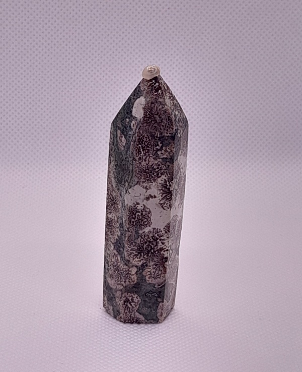 Sakura Jasper Tower