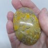 Bumblebee Jasper Palmstone