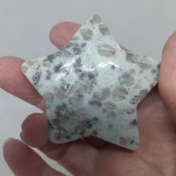 Kiwi Jasper Star