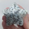 Kiwi Jasper Star